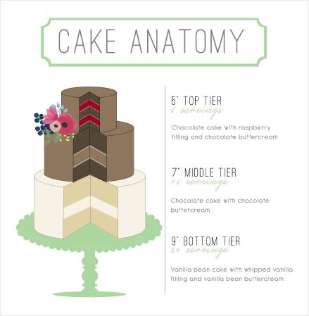 Cake Anatomy